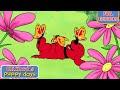 Lights Camera Action More Full Episodes Clifford S Puppy Days