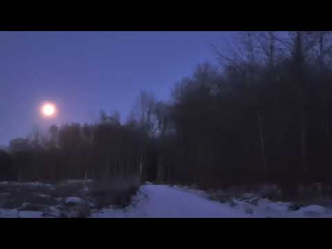 Day59C/365💚#fullmoon #moon #denmark #nature#gratitude #porpose #findyourpurpose #dailywalkchallenge 