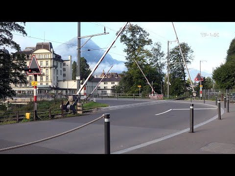 Railroad Crossing - Interlaken (CH) - Bahnübergang Brienzstrasse , Passage à niveau