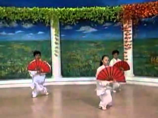Vídeo relacionado con Camisa de Kung Fu para hombre de algodón y lino - Estilo tradicional chino de traje Tang, chaqueta de manga larga, adecuada para Tai Chi y ocasiones culturales, Negro, L