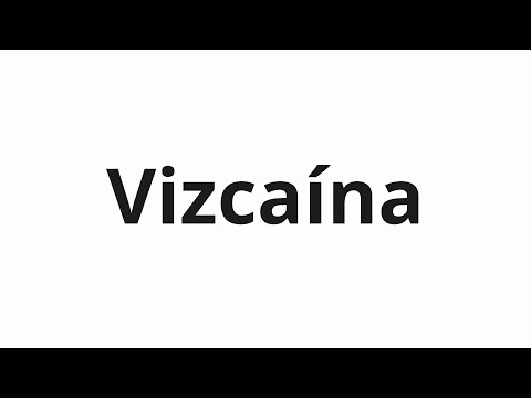 How to pronounce Vizcaína