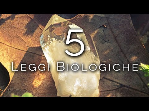 1122-IT Elisa, 5 LEGGI BIOLOGICHE - Ipnosi Esoterica ∞ Lucio Carsi