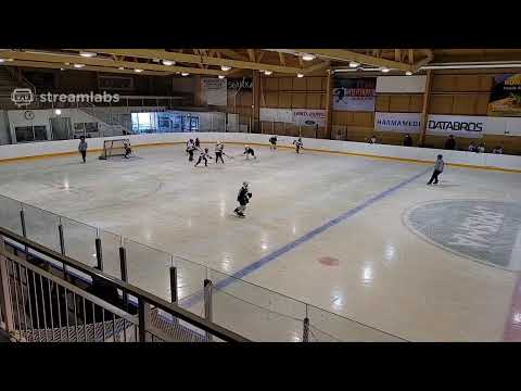 20.3. Skiekko -Hermes