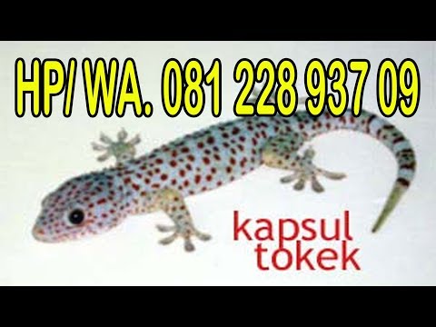 Sepeda latihan untuk membakar lemak Video Diet penurunan berat badan air