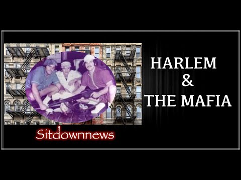 Harlem & [ the mafia ]