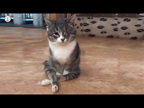 They laughed at my blind and paralyzed body, then cried to know what I went through