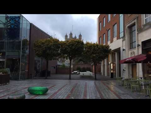 Snake Bark Maple (Acer capillipes) - trees in Princesshay, Exeter - November 2017