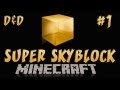 Minecraft: Super Skyblock Ep.1, Dumb and Dumber ...