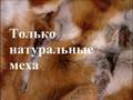 516 - Меховое покрывало/меховой плед рыжая лиса - мех, меха 