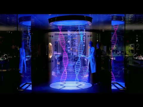 Our four dimensional genome