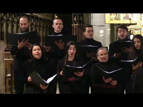 Solemnis Choir