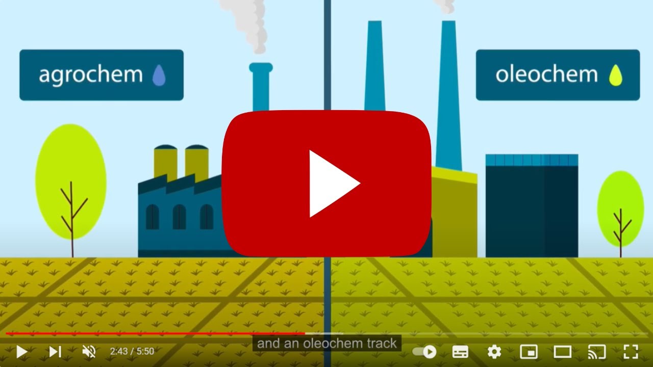 A European Success Story: INCITE