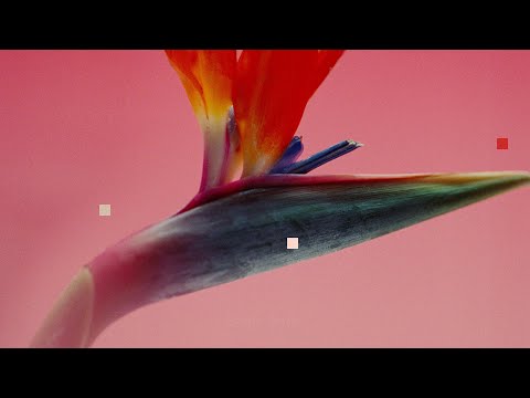 Making Material You: Personal