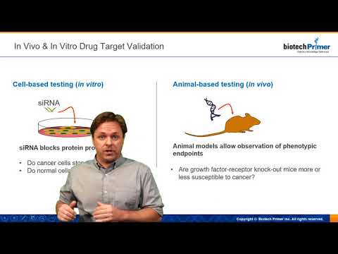 In vivo vs. in vitro drug development