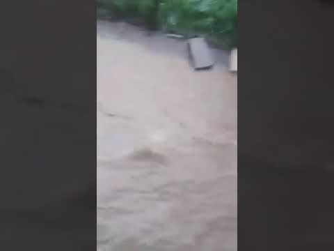 Viitură la Vladimir!