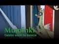 Muminki S01E13 Ostatni Smok Na świecie