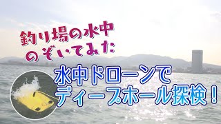 釣り場の水中のぞいてみた「ディープホール探検編」