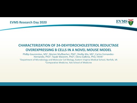 Thumbnail image of video presentation for Characterization of 24-dehydrocholesterol reductase overexpressing b cells in a novel mouse model