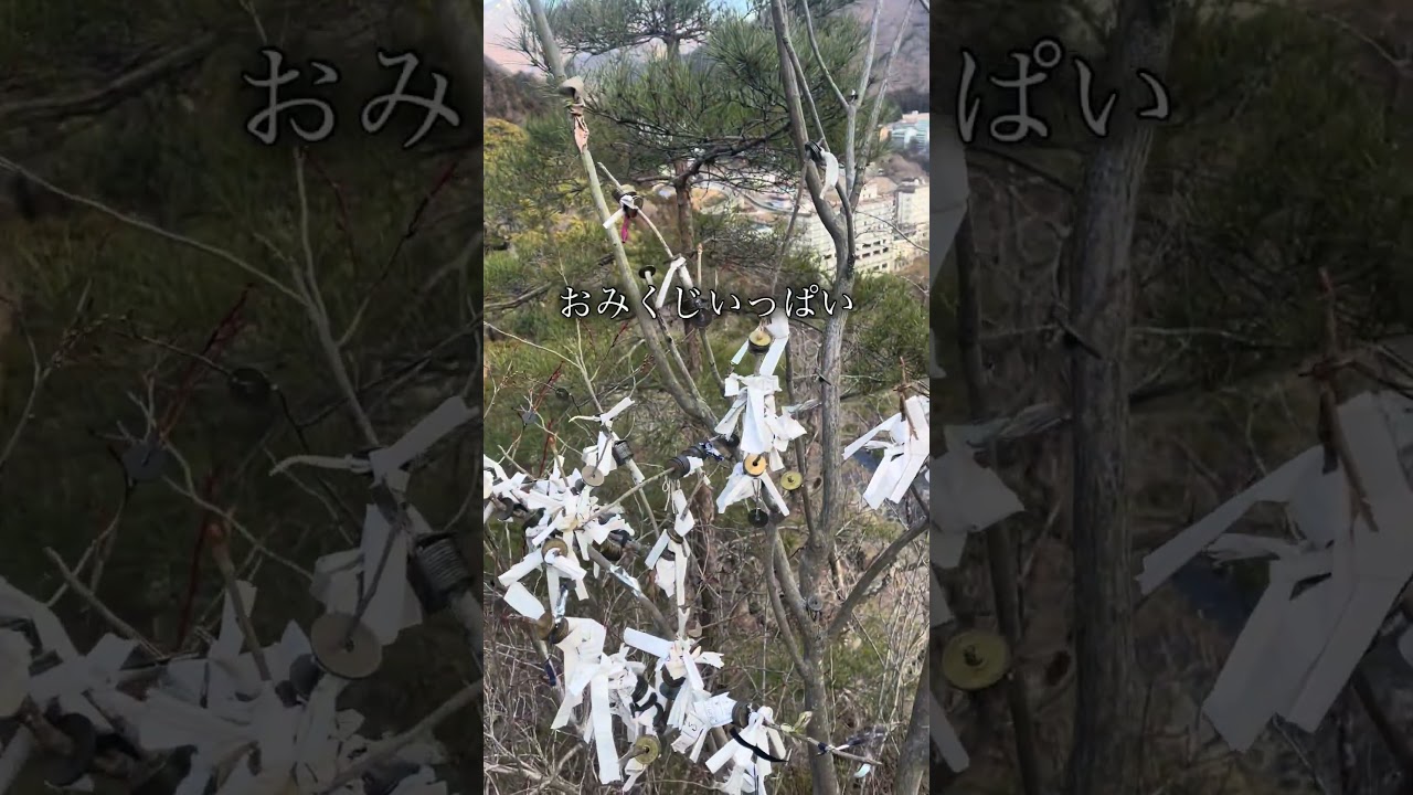 縁結び休業中？　#shorts