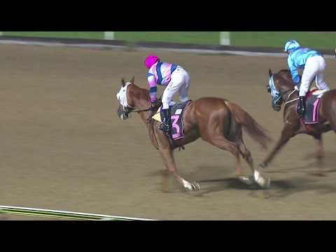 Perth Racing Trophy 2019 (Pennywise)