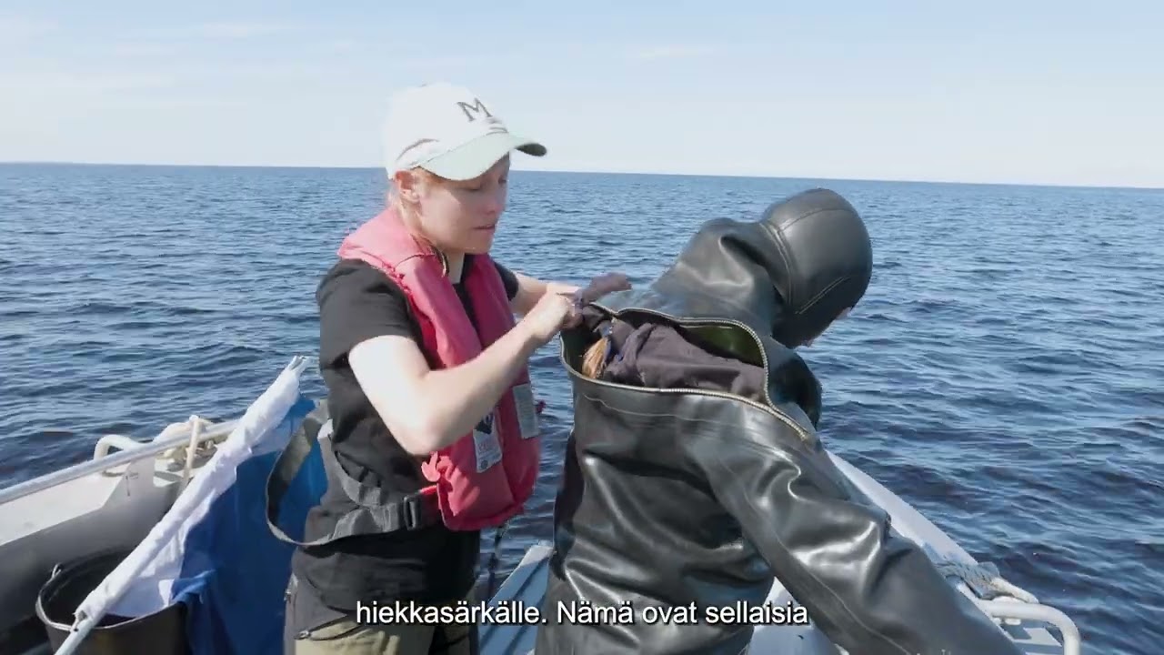 Meribiologin työpäivä