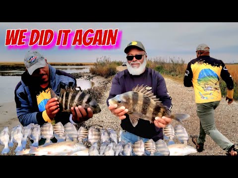 ANOTHER GREAT CATCH! Out fishing with Sir Eddie again. 