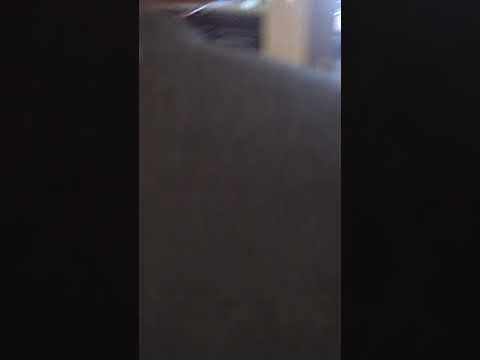 How to cook Stouffers French Bread Pizza