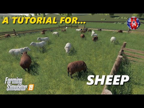SHEEP - Farming Simulator 19 - FS19 Sheep Tutorial