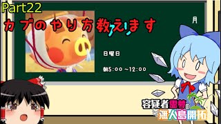【あつ森】霊夢容疑者の無人島開拓【Part22】