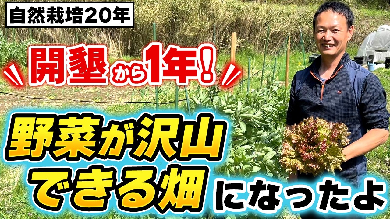 不毛の地が「恵みの畑」へ。開墾1年で学んだ自然栽培の底力