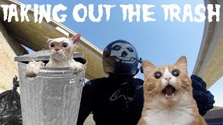 I Threw Cats In The Trash