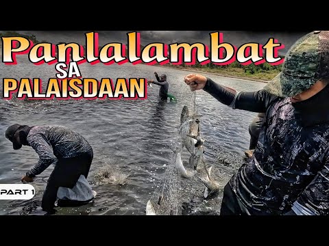 EP987-P1 - Panlalambat sa Palaisdaan