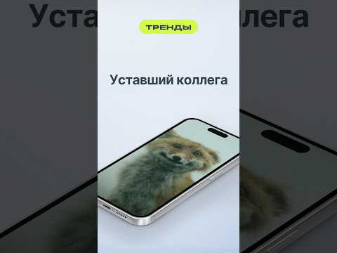 Уставший коллега