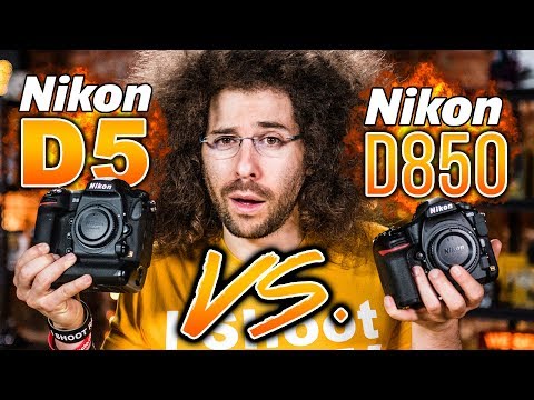 download lagu mp3 mp4 D5, download lagu D5 gratis, unduh video klip D5