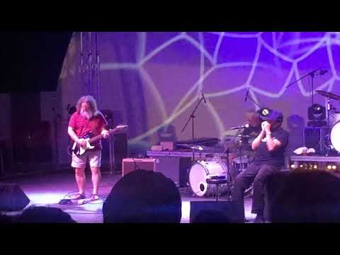 Boo Boo Davis  band played live  at the Blues festival ij mijas  costa 2019