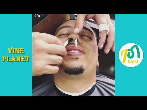 Funny Mighty Duck Pranks Compilation - Vine Planet✔