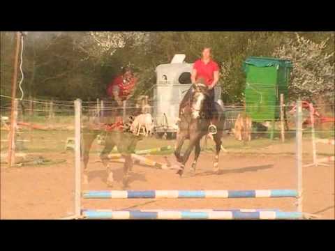 Chapter four Z (Caplan x Lux Z)