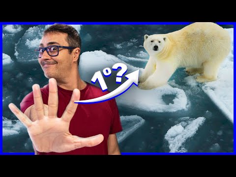 Os 5 Impactos Ambientais que mais caem no ENEM