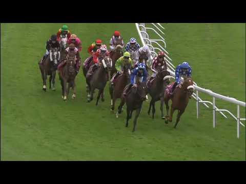 SAINT-CLOUD 30/09/2016 QATAR ARABIAN TROPHY DES POULICHES