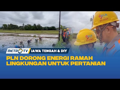 Sumur Bor Untuk  Irigasi Pertanian
