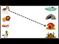 Match The Animals With Their Homes Animals And Their Homes Worksheet Toppo Kids