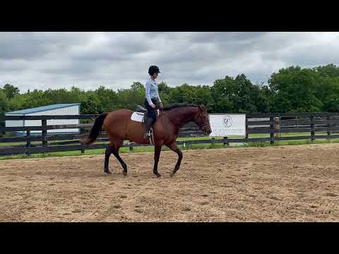 Hashtag Bourbon- Flat School