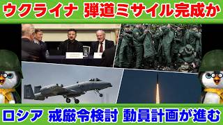 【ウクライナ情勢】露「さすがはプーチン様！プーチン様の言うことは正しい！【軍事解説】