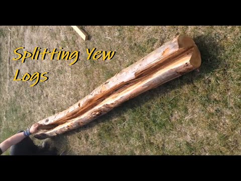 Splitting Yew logs - Eibe spalten