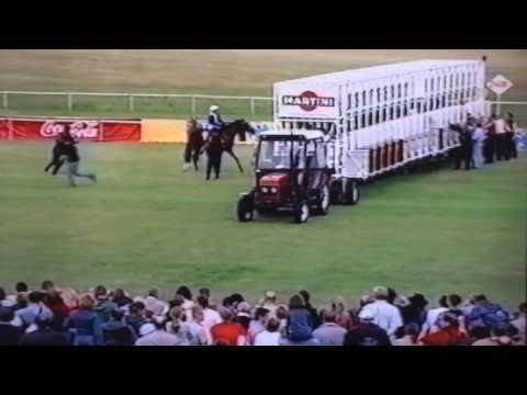 Nagroda Derby - 6.07.2003 - Joung Islander (Tioman Island - Joung Girl)