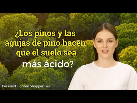 ¿Las agujas de pino acidifican el suelo? Desmentimos el mito