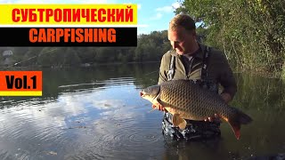 Ссылка