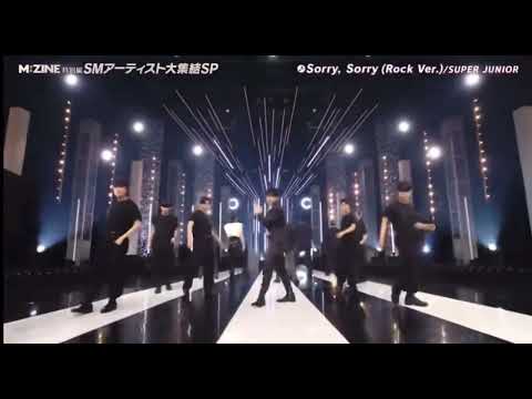 Superjunior - Sorry Sorry 👏