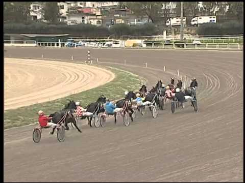 Trotto 04/12/2014 - 2° corsa