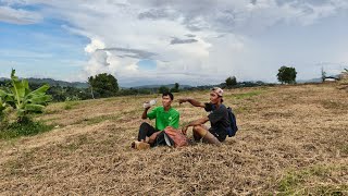 Download lagu Pikaserieun mp3 Download lagu Pikaserieun mp3